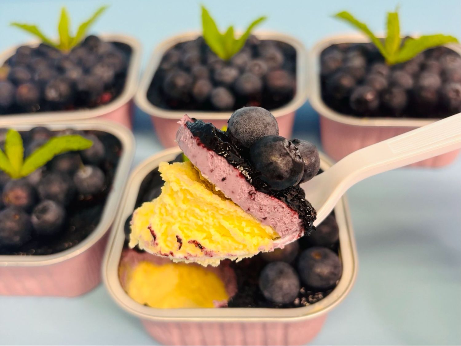 Blueberry Mousse Basque Cheesecake